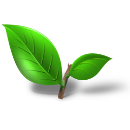 tea-plant-leaf-icon